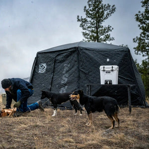 Person gathering firewood while winter camping with two dogs near an FSR Hub series pop-up camping tent with snow falling