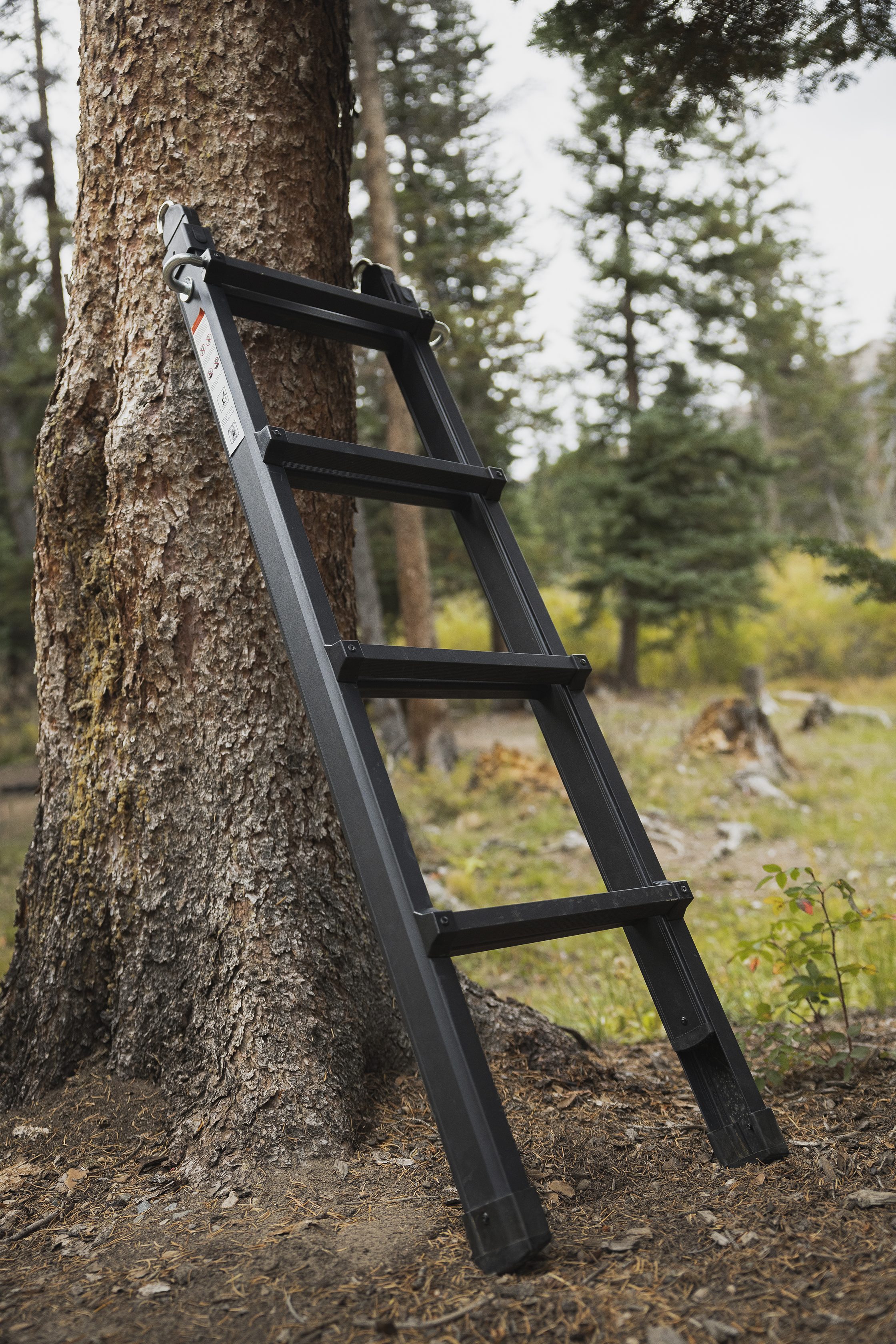Rugged Ladder - Black
